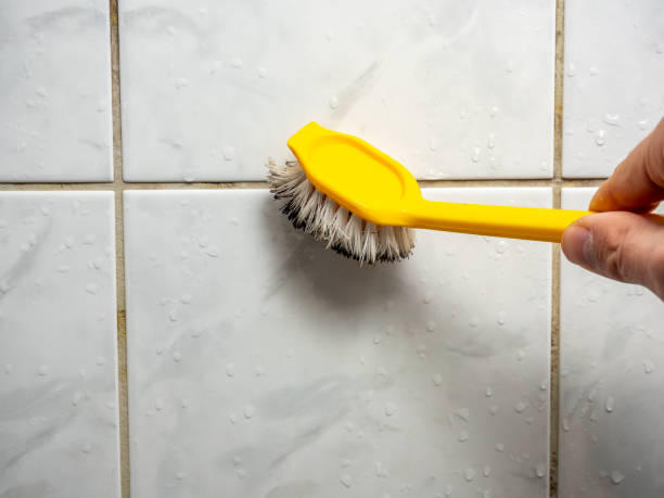 Trusted Mcgregor, TX Mold Removal Experts