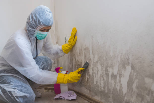 Best Water Damage Restoration  in Mcgregor, TX