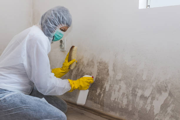 Best Mold Testing  in Mcgregor, TX