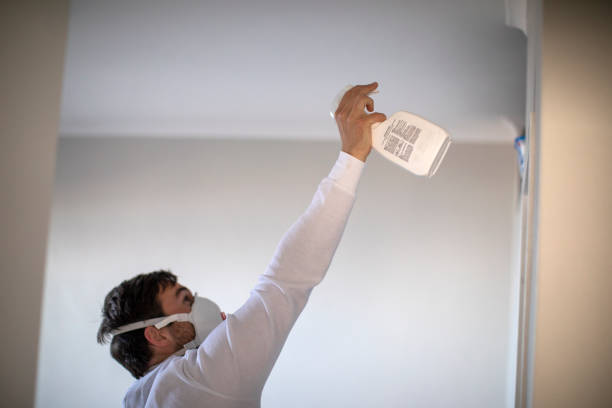 Best Toxic Mold Removal  in Mcgregor, TX