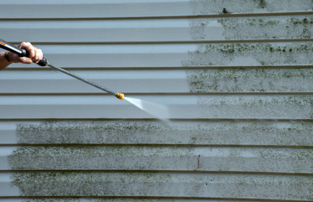 Best Mold Removal Process  in Mcgregor, TX