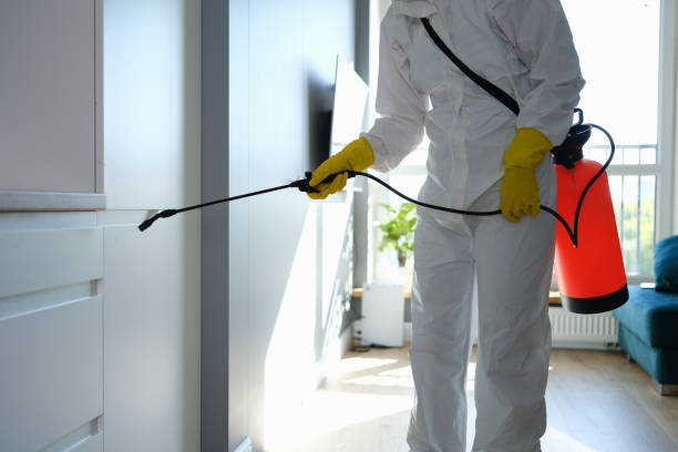 Best Mold Removal Company Near Me  in Mcgregor, TX