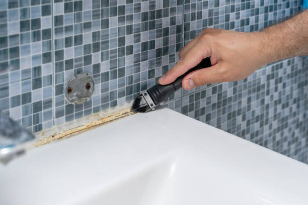 Mold Removal Process in Mcgregor, TX