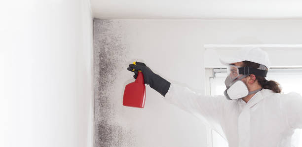 Best Residential Mold Removal  in Mcgregor, TX
