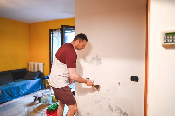 Best Fast Mold Removal  in Mcgregor, TX