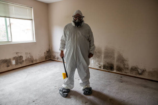 Best Mold Testing  in Mcgregor, TX