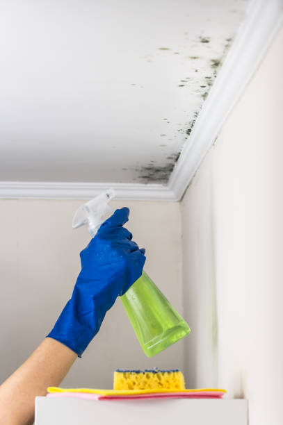 Best Mold Testing  in Mcgregor, TX